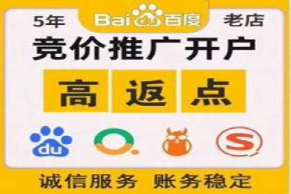 网络推广与竞价广告：双管齐下的策略案例